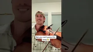 Violin dance monkey