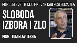 Tomislav Terzin - Sloboda izbora i zlo