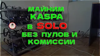 Майнинг KASPA в SOLO без ПУЛА на HIVE OS! Настраиваем свою НОДУ за 5 минут!