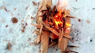 Как легко и быстро разжечь костёр в зимнем лесу.