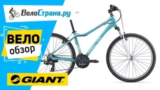 Велосипеды Giant. Велообзор #1