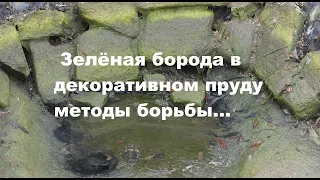 Что делать когда зеленые водоросли в садовом пруду                         green algae in the pond