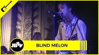 Blind Melon - No Rain | Live @ Metro