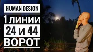 Дизайн Человека 24 и 44 ворота. 1 линии Даниил Трофимов. Human Design