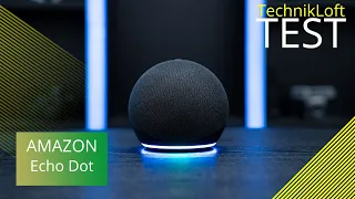 Amazon Echo Dot 4 Test 2021 | Besser als Google Assistant Geräte? | TechnikLoft