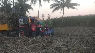 Arjun 605 full sugarcane loaded