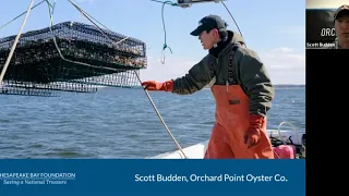 Oyster Farming on the Bay