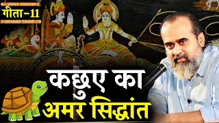 (गीता-11) कछुए का अमर सिद्धांत || आचार्य प्रशांत, भगवद् गीता पर (2022)