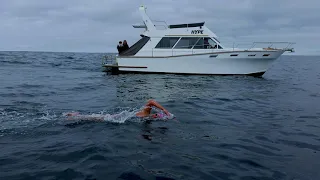 Cook Strait Swim | Raewyn Winsley | 2021