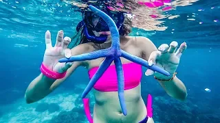 Koh Rock Island - the best underwater world in Thailand