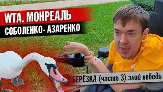 WTA Монреаль: Арина Соболенко - Виктория Азаренко | Отдых в Берёзке (3 часть) Злобный лебедь