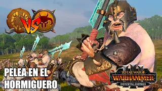 PELEANDO CONTRA UN HORMIGUERO TOTAL WAR WARHAMMER 3 #565 BATALLA OGROS VS HOMBRES BESTIA