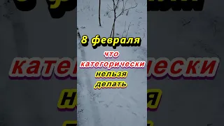 8 февраля народный праздник Федоров день. Что категорически нельзя делать. Народные приметы