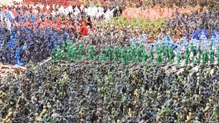 3000+ Piece Army Men Collection (infantry)