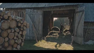 Grandfather. Summer - Hay making. Trailer