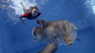 Dolphin Tale 2 - TV Spot 1 [HD]