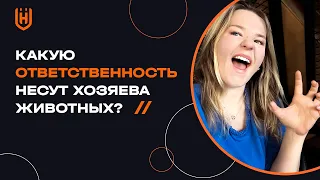 Какую ответственность несут хозяева животных?