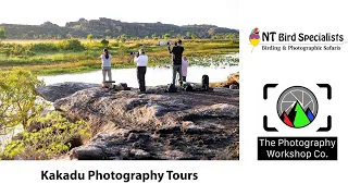 Kakadu Photography Tours with NT Bird Specialists & The Photography Workshop Co