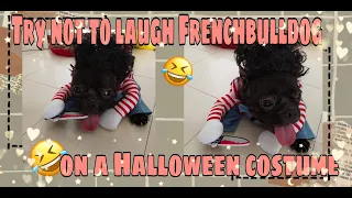 TRY NOT TO LAUGH FRENCHBULLDOG ON HALLOWEEN COSTUME#PETSNIMARS