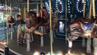 Turtle Back Zoo carousel