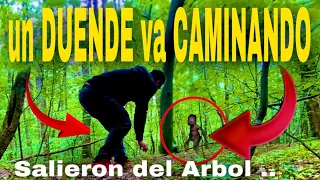 Duende caminando en medio del bosque lo CAPTURAN es atrapado DUENDES son CAPTADOS saliendo d casita