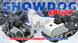 Обзор на мотобуксировщик Baltmotors Snowdog Standard Sport (2023) #Baltmotors