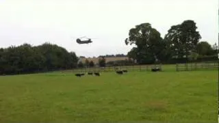 Low flying Chinook helicopter over quiet village