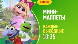 Disney Channel Russia continuity - 24-09-18