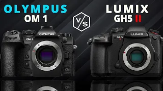 Olympus System OM1 vs Panasonic LUMIX GH5 II