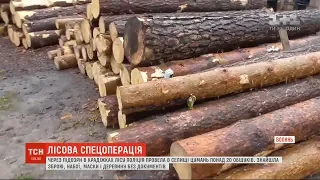 У Волинській області відбулися масові обшуки у підозрюваних в крадіжці лісу
