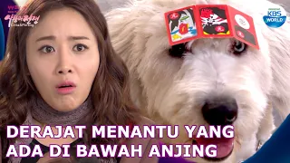 Derajat Menantu yang Ada di Bawah Anjing |Klinik Pernikahan,Cinta&Perang|SUB INDO|140328 Siaran KBS|