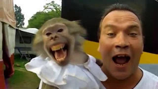 Monkey. Funny Monkeys Compilation Part 1 / Обезьяны. Смешные обезьяны 1