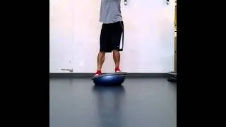 Low to High Dumbbell Woodchop on Bosu