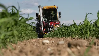 Vredo vt 2516 im Maisbestand | Gülleausbringung | AuFvObb