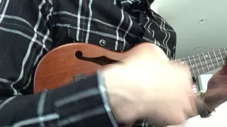 You're crazy / GunsN'Roses(solo ukulele)