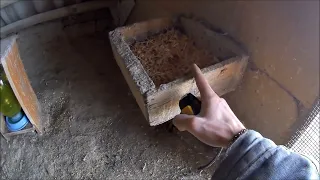 Какие размеры гнёзд для голубей и какая подстилка самая лучшая! Handmade pigeon breeding boxes/cages