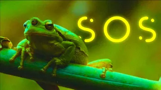 SOS |  Sci-Fi Short Film