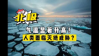 北極氣溫升高！冰川融化、全球變暖頗受關注，人類面臨滅絕威脅？