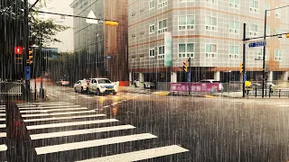 (4K) Walking in Heavy Rain | Streets & Village | Binaural Rain Sounds | South Korea | 강폭우 장마 빗소리