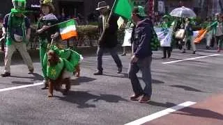 St. Patrick's Day Parade Tokyo 2014 Part2