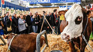 Le salon de l'agriculture, la plus grande ferme de France