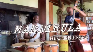 DÚO ERIERO Mandíbula | Machito & El Dibu | AfroJazz | Jazz Fusion | Congas & Contrabass | NEW GROOVE