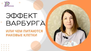 Эффект Варбурга, или чем питаются раковые клетки