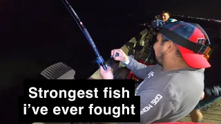 Galveston,Tx night fishing at 61st pier (can’t believe I hooked on to this)