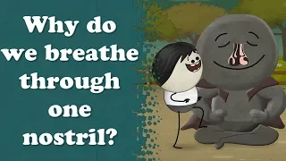 Why do we breathe through one nostril? | #aumsum #kids #science #education #children