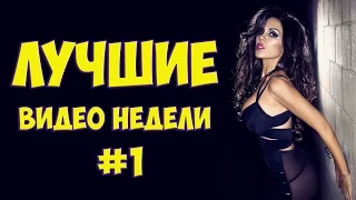 Лучшие видео недели! #1