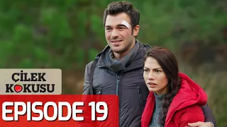 Strawberry Smell - Full Episode 19 (English Subtitles) | Cilek Kokusu