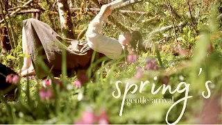 Spring's Gentle Arrival 🌿🌷art studio gallery wall refresh, sketching & pressing spring flowers