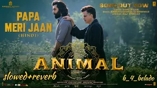 ANIMAL: Papa Meri Jaan (slowed+reverb) Ranbir Kapoor |Anil K,Rashmika M | Sonu nigam @b_4_belado