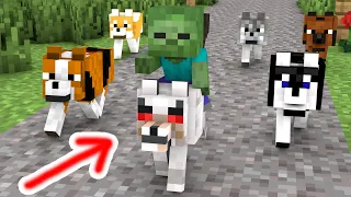 Monster School : Baby Zombie and Dog Rescues Friends - Minecraft Animation